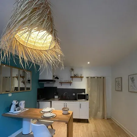 Boho-chic En Hyper-centre De Au Calme, Confort, Wifi Rapide, Parking En Face, Arrivee Autonome 公寓