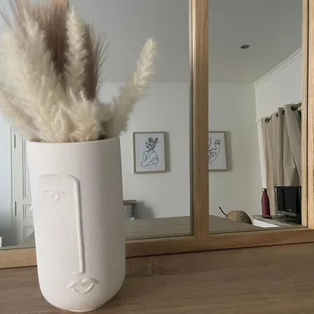 Boho-chic En Hyper-centre De Au Calme, Confort, Wifi Rapide, Parking En Face, Arrivee Autonome