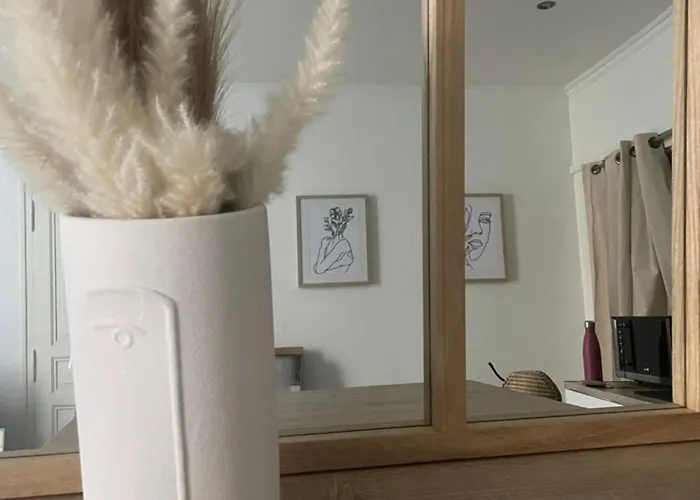 Boho-chic En Hyper-centre De Au Calme, Confort, Wifi Rapide, Parking En Face, Arrivee Autonome